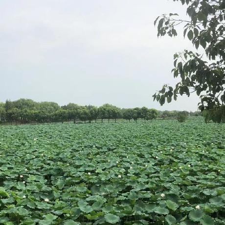 Heidsoft Heidsoft Github