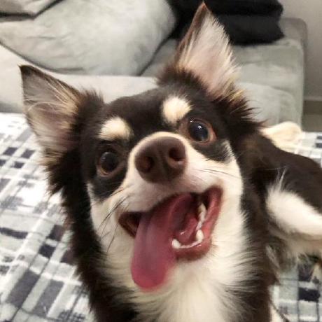 Asa Liah Github - City Illustrations - Incredible Full HD Collection