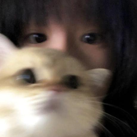 Github Hiki 01 Test - Premium Minimal Design - Desktop