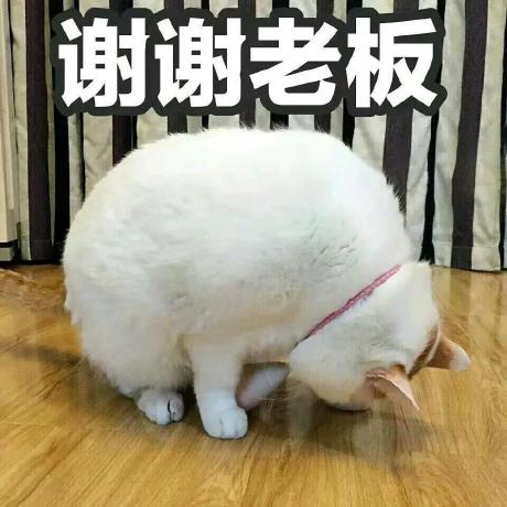 Huyuan0312 Meowit Github - Download Classic Space Background | Retina