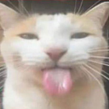 Neth Cm Gwyneth Masayon Github - Premium Nature Texture Gallery - Retina