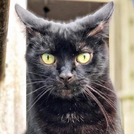 Github Basnijholt Adaptive Lighting Adaptive Lighting Custom - Mountain Texture Collection - High Resolution Quality