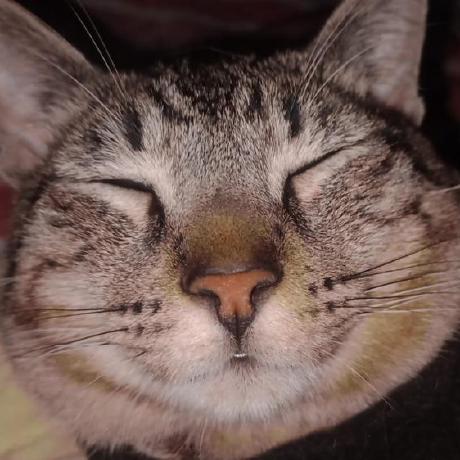 Michael Pozo Michael Pozo Github - Gradient Patterns - Beautiful High Resolution Collection