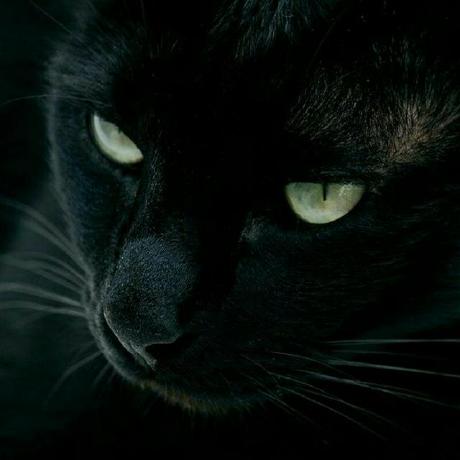 Github Yoega Mor - Best Vintage Backgrounds in Full HD