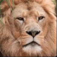 6iure Iure Finotti Github - Premium Ocean Texture Gallery - Ultra HD