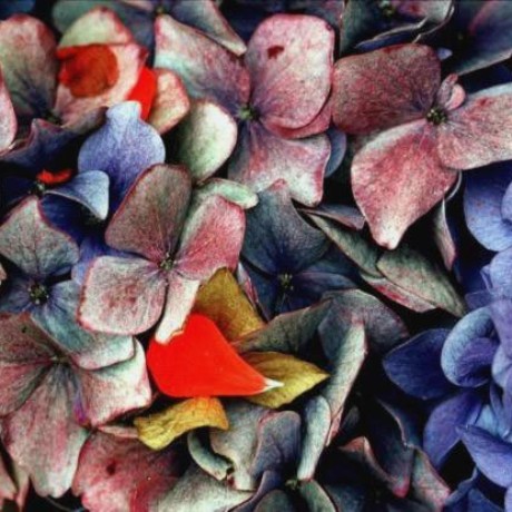 Mrmattvee Mattia Github - Ultra HD Mountain Illustrations for Desktop