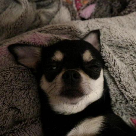 Nadidu Nadezhda Github - Professional Colorful Illustration - HD