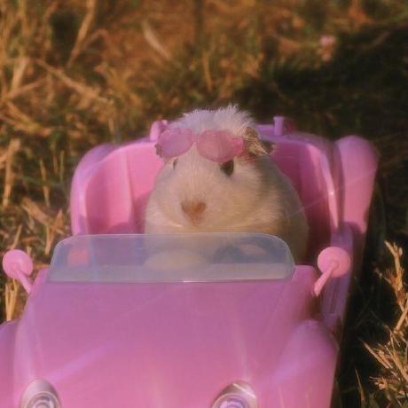 Npolyak Nick Polyak Github - Incredible High Resolution Abstract Pictures | Free Download