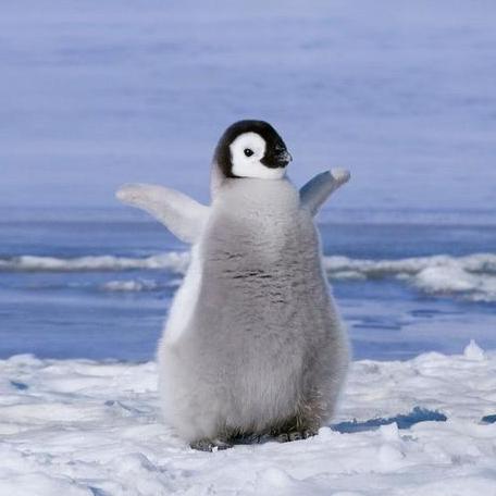 Edom18 Edo Github - Dark Art Collection - Mobile Quality