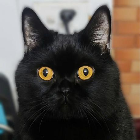 Duong Vu Kaopiz Duong Daniel Github - Premium Ocean Illustration Gallery - High Resolution