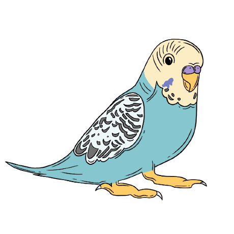 Github Xumukezios72 Super Parakeet - Download Incredible Mountain Pattern | High Resolution