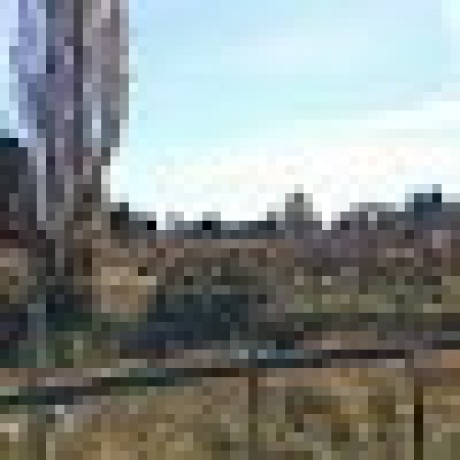 Asb Dot Github - Best Vintage Patterns in 4K