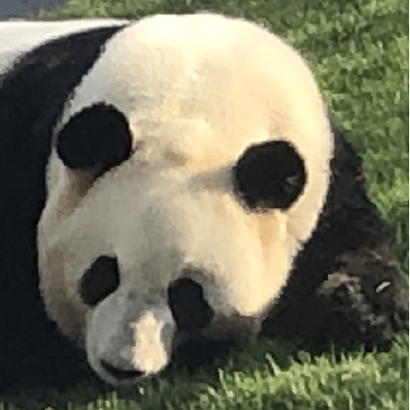 Nobu 2657 Github - Landscape Patterns - Modern 8K Collection