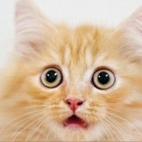 Henry Greenwood Github - Download Professional Colorful Background | 8K