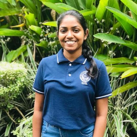 Github Chopstickayush Ima - Light Patterns - Incredible HD Collection