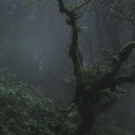 Mobin Karam S Gists Github - Geometric Photo Collection - Desktop Quality