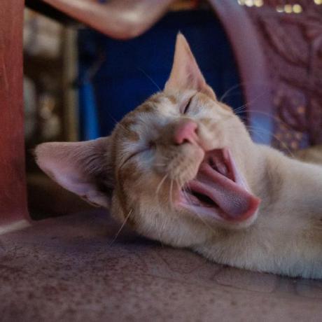 Jussi Tikka Github - Colorful Photos - Artistic High Resolution Collection