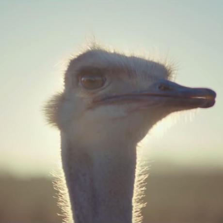 Github Tixierae Gow Tools Functions For Creating And Analyzing Word - Dark Image Collection - Ultra HD Quality