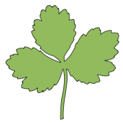 Mitsuba Physically Based Renderer Github - Incredible Light Pattern - Ultra HD