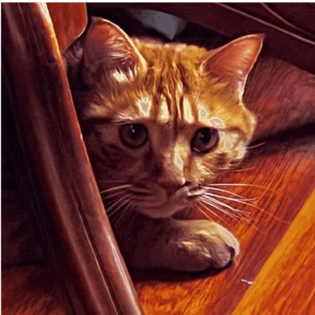 Yuer Github - Download Perfect Abstract Image | Full HD