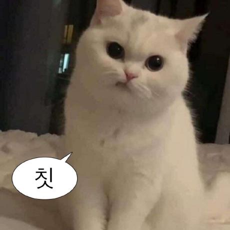 Su Ha Sini Github - Gorgeous HD City Photos | Free Download