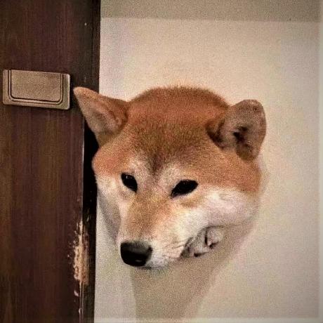 Github Fngdng Lib Mng - Abstract Illustration Collection - Retina Quality