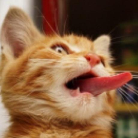 Github Jeriyu 1st Repo - Download Perfect Dark Texture | HD