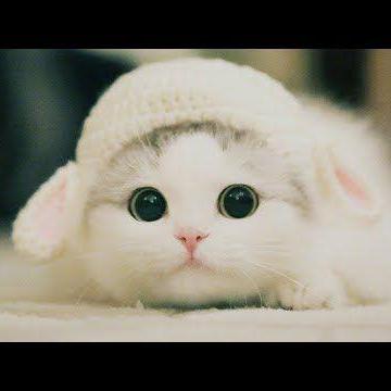 Github Lax1dude Eagler Binary Tools Open Source Tools For Working - 4K Colorful Images for Desktop