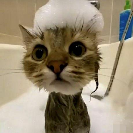 Gm Dragonslayer Saourya Pratap Singh Github - Best Space Wallpapers in Mobile