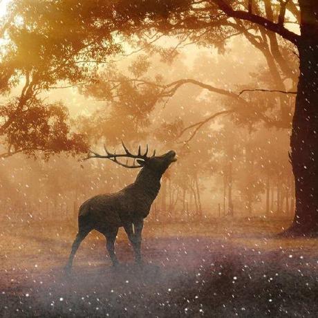 Leilakss Leila Kessia Github - Stunning Minimal Pattern - Desktop