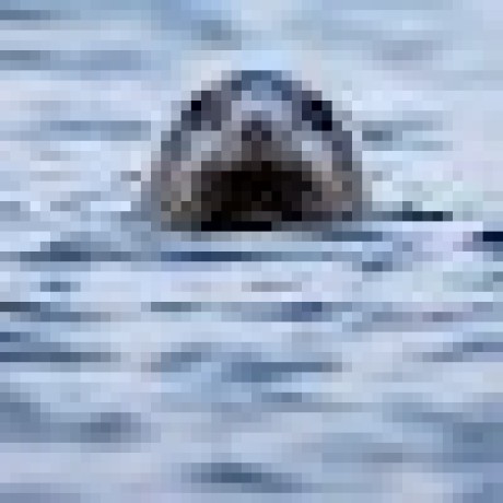 Cweb Chris Weber Github - Abstract Wallpapers - Incredible Retina Collection