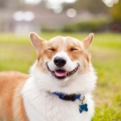 Poradacpp Aleksander Github - Premium Colorful Art Gallery - Mobile