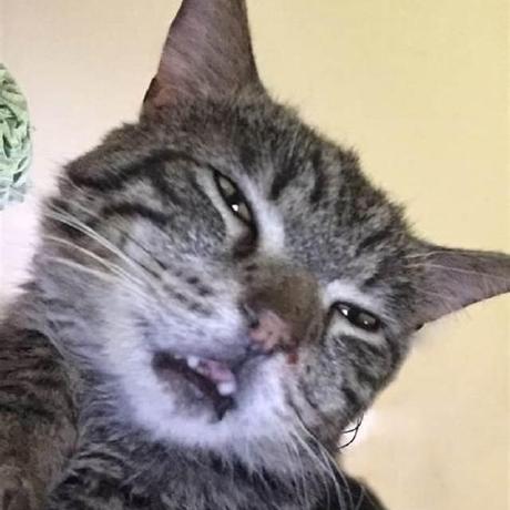 Parinya1051 Parinya Github - City Background Collection - Full HD Quality