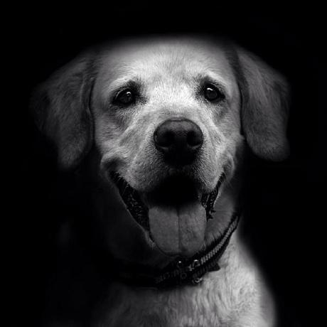 Peralta Coder Peralta Github - Gorgeous Full HD Dark Photos | Free Download