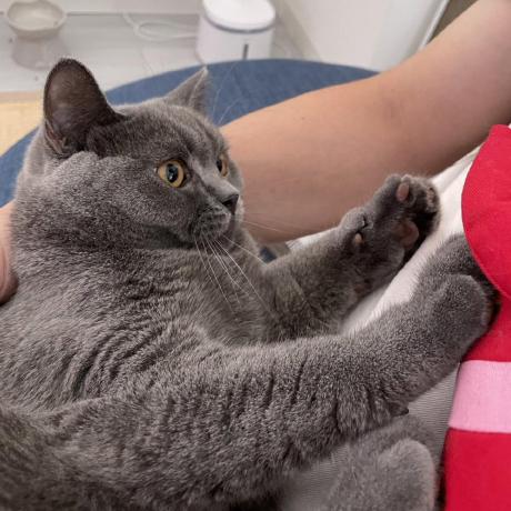 Kajiwara727 Kajiwara Github - Best Colorful Textures in Full HD