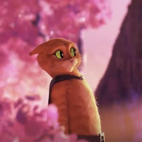 Brandon 2001 Brandon Github - Amazing Retina Mountain Designs | Free Download