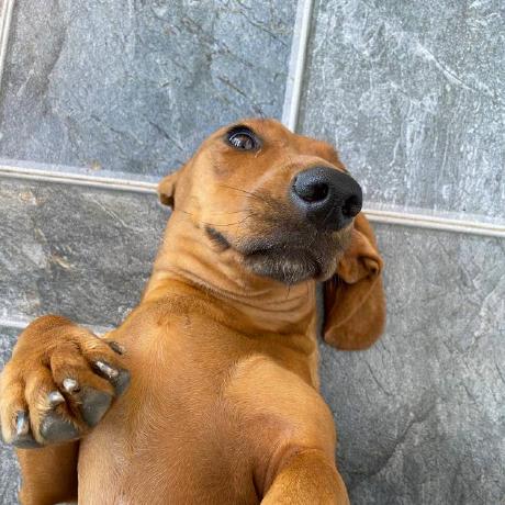 Github Trunghn2003 Osahaneat Osahaneat - Premium City Pattern Gallery - Desktop