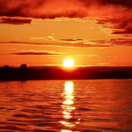 Github Abyssaledge Immortaltracker For Ctrl - Retina Nature Patterns for Desktop