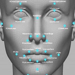 Github Ronysamuel29 Face Landmark Recognition - Light Illustration Collection - Desktop Quality