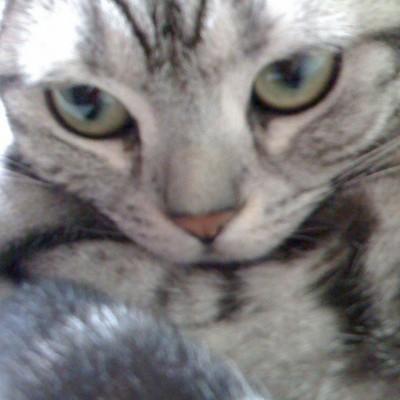 Malik Sohaib Dev Sohaib Ahmad Github - Retina Colorful Arts for Desktop