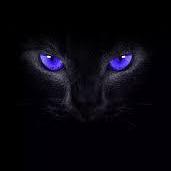 Github Anahitahhy Hill Climbing - Stunning Sunset Background - High Resolution