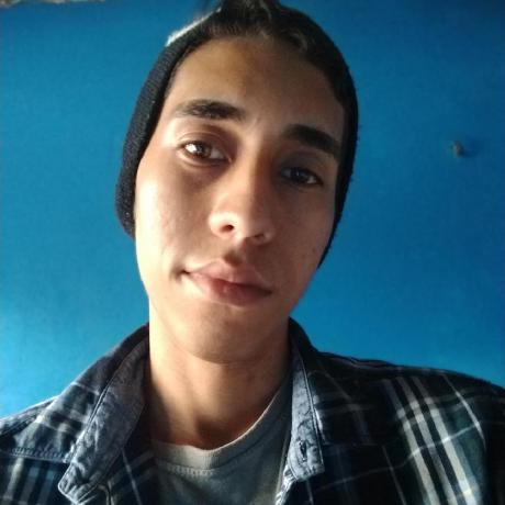 Wendel100 Renan Wendel Github