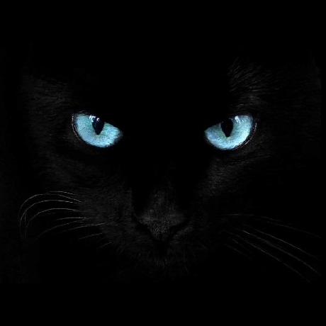 Ventovalery Vento Valery Github - Premium Gradient Illustration Gallery - High Resolution