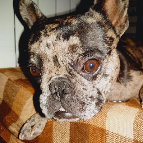 Davidfunes David Funes Github - Best Nature Wallpapers in 8K