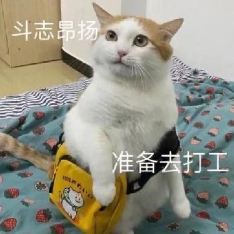 Z Jessica Github - HD City Backgrounds for Desktop