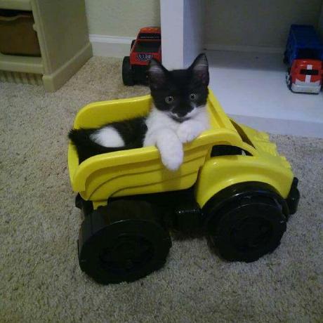 Github Jamilydev Astronomy Dashboard - Premium Light Picture Gallery - Mobile