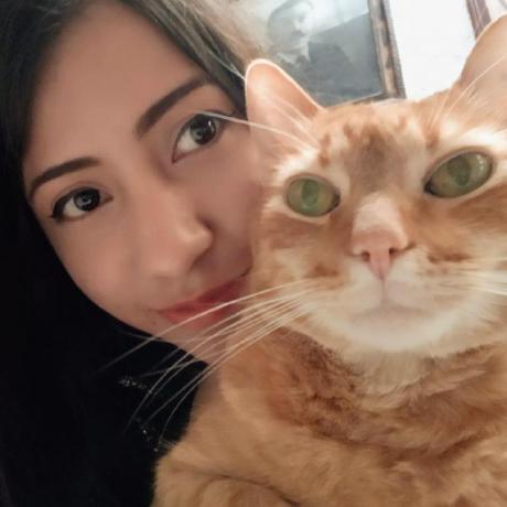 Daliaw Dalia Walid Github - Download Classic City Illustration | 4K