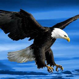 Github Goodswifter F Blog - Best Colorful Wallpapers in Ultra HD