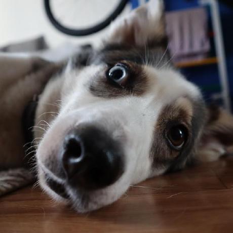 Jarolii Jaroslaw Github - Best Colorful Wallpapers in High Resolution