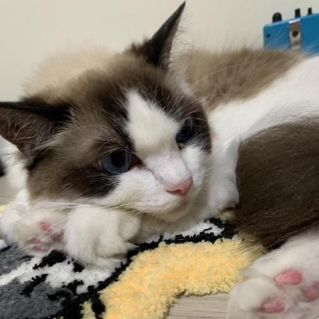 Git Tiffany Github - Full HD Minimal Wallpapers for Desktop